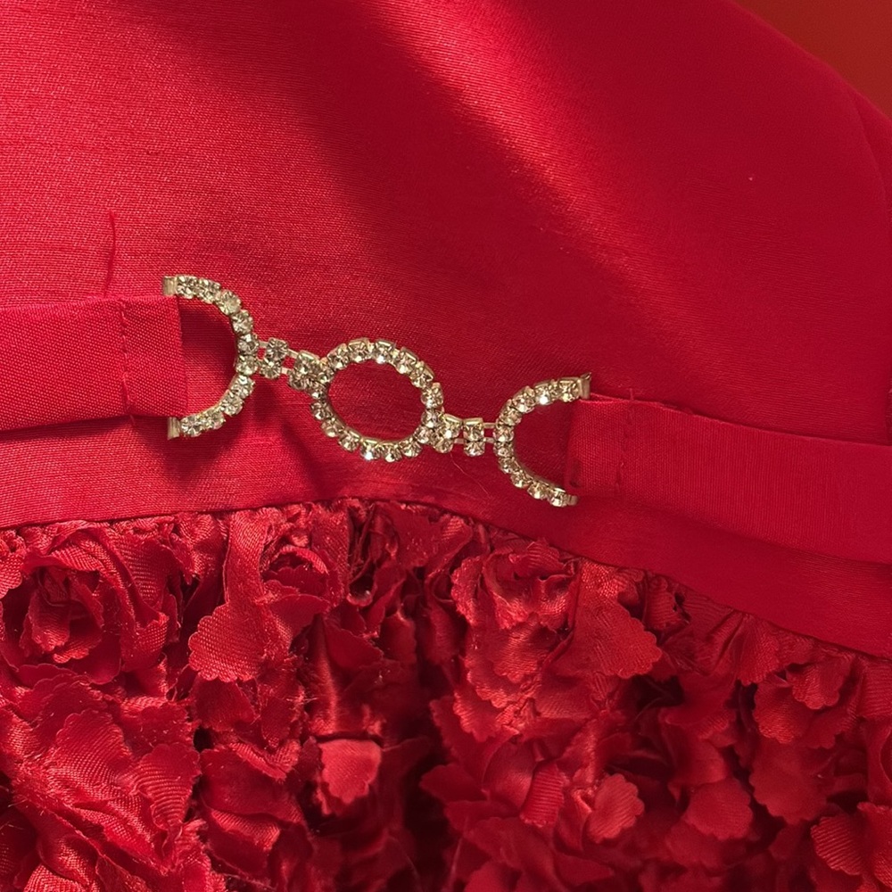 Ruby Red Dress - Picture 4 of 4
